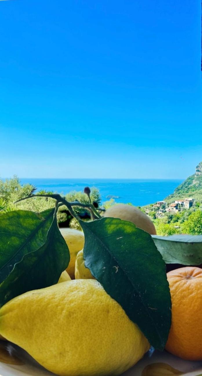 Wanderlust Villa Piano di Sorrento Exterior foto